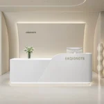 JINXIN JINXIN-0564 Beauty Salon Net Red Clothing Store Cash Register Training Institutions Company Reception Desk Light Luxury